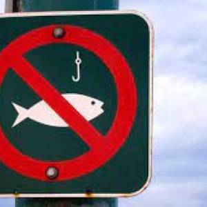 Запорожским рыбакам на заметку: с 5 апреля начинается нерестовый запрет