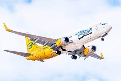 Туристам показали, как выглядит салон самолета нового лоукостера Bees Airline: фото