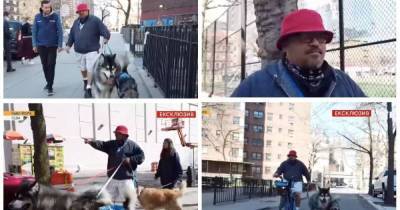 Сколько можно заработать на выгуле собак в Нью-Йорке: личная история экс-дальнобойщика