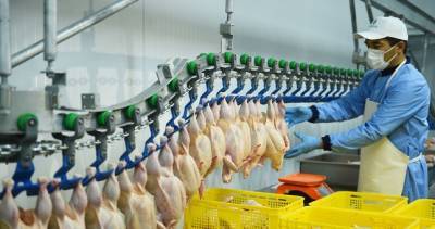 Экономический парадокс: что происходит в Таджикистане с ценами на мясо