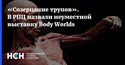 «Созерцание трупов». В РПЦ назвали неуместной выставку Body Worlds