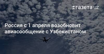 Россия с 1 апреля возобновит авиасообщение с Узбекистаном