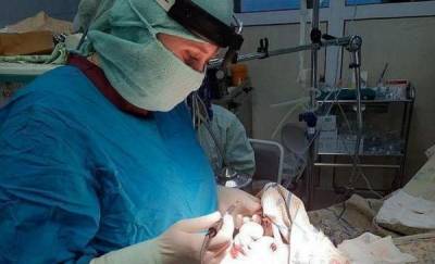 В Тюмени у пожилого мужчины удалили огромную опухоль на носу