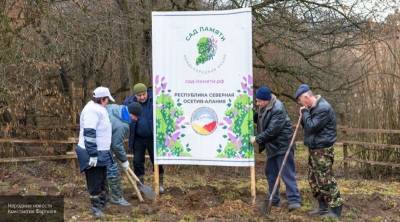 Более 45 тысяч деревьев высадили в Северной Осетии в память о погибших в ВОВ