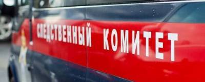 Мордовский СК проверит информацию о семьях, замерзающих в собственных домах