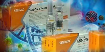 Украина купила 200 тысяч доз вакцины CoronaVac от Sinovac из Китая - Что это за препарат, инфографика - ТЕЛЕГРАФ