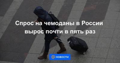 Спрос на чемоданы в России вырос почти в пять раз