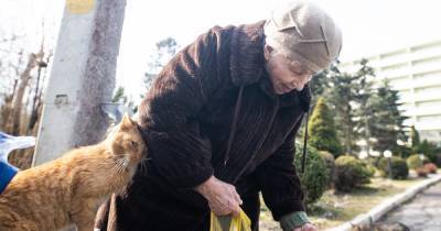 "Мой маленький, мой золотой": одинокая старушка из Отрадного 12 лет тратит пенсию на бездомных котов