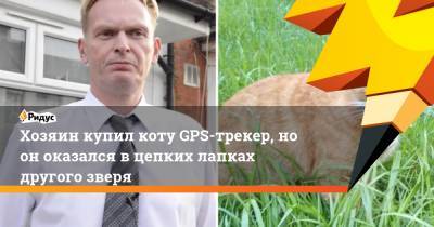Хозяин купил коту GPS-трекер, но он оказался в цепких лапках другого зверя