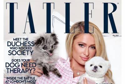 Пэрис Хилтон и ее собаки стали звездами обложки Tatler
