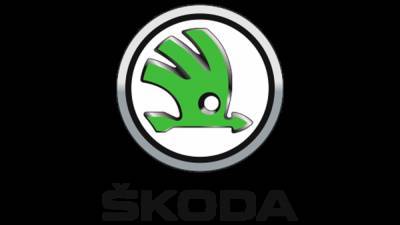Skoda взяла ответственность перед Volkswagen за рынок России