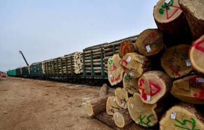 Китай начал торговую блокаду России: российские поезда с лесом и углем разворачивают на границе — СМИ