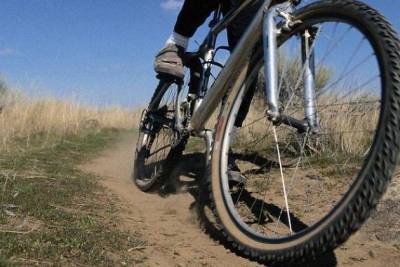 Иномарка насмерть сбила велосипедиста в Каринском районе