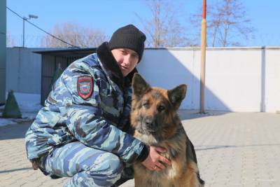 Бьянка помогла полицейским Южно-Сахалинска поймать разбойника