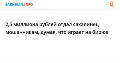 2,5 миллиона рублей отдал сахалинец мошенникам, думая, что играет на бирже