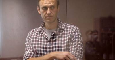 Чудеса накрутки: в деревне с единственным жителем нашлись сотни сторонников Навального