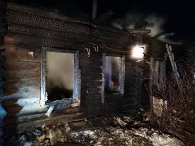 В Челябинской области двое детей и женщина пострадали на пожаре