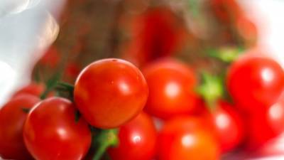 Диетолог рассказала о полезных свойствах томатов