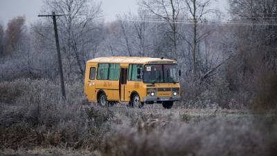 В Тюменской области пьяный водитель школьного автобуса перевозил детей