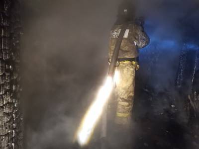 В Челябинской области на двух пожарах погибли три человека, еще трое пострадали