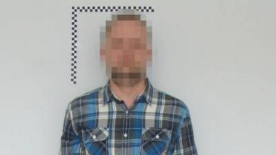 Задержан поляк, пытавшийся ослепить лазерной указкой военный самолёт