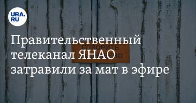 Правительственный телеканал ЯНАО затравили за мат в эфире