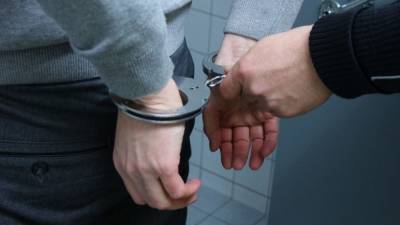 Полиция задержала двух подозреваемых в похищении малолетнего ребенка в Москве