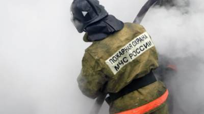 Двое мужчин и женщина погибли на пожаре в Самарской области