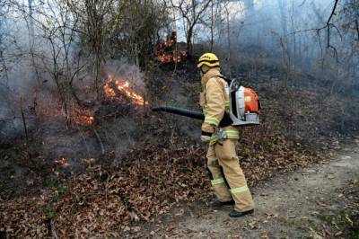 В Приамурье в Хинганском заповеднике локализован крупный пожар