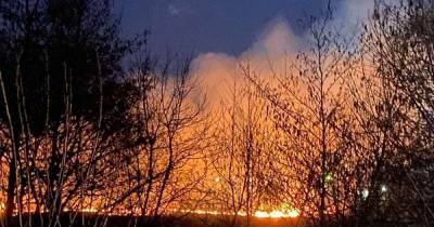 Как горело на Закарпатье: спасатели показали фото недавних лесных пожаров (5 фото)