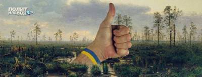 Украина стремительно погружается «на дно демократии»