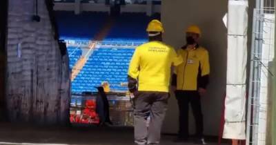 На знаменитом стадионе "Реала" заметили прогулку пингвинов: видео завирусилось в Сети