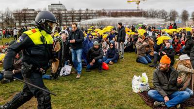 Толкнули под машину, натравили собак: Нидерланды молчат о протестах