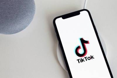 В рунете появился фейковый сайт, который собирает данные аккаунтов TikTok