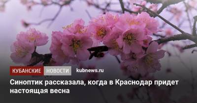 Синоптик рассказала, когда в Краснодар придет настоящая весна