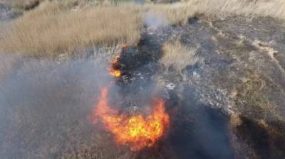 В Воронежской области горит камыш на возле реки Савала: появилось видео