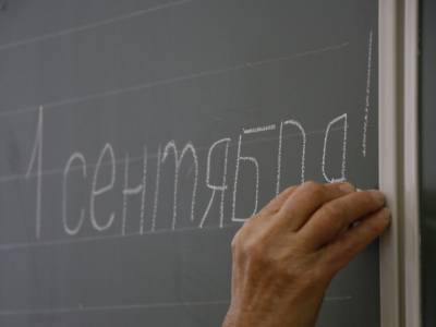 В петербургских школах появятся профильные классы в рамках программы «ПрофСтарт»