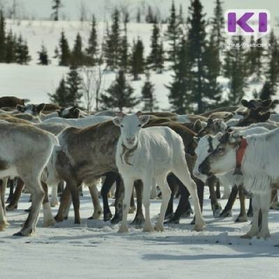 Игорь Гурьев предложил активнее развивать сельское хозяйство в Арктических зонах Коми