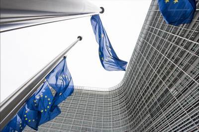 Еврокомиссия: Процесс запуска «Спутника V»в ЕС может занять много месяцев