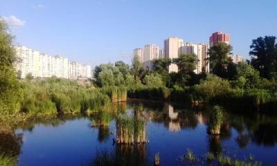 Ради очередной высотки: в Киеве снова хотят уничтожить озеро Утиное