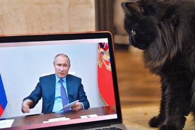 Путин пообещал подумать о создании блога