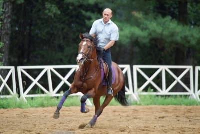 “Реальный кульбит сделал”: Путин рассказал, как упал с лошади