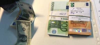 На таможне в Карелии собака нашла контрабандную валюту у россиянина