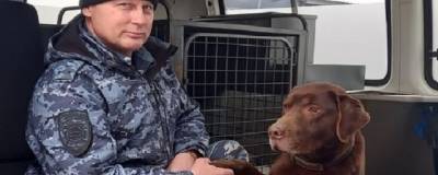 Служебный пес в Хакасии по запаху привел полицию в дом вора