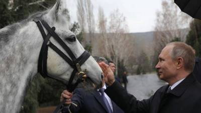 “Реальный кульбит”: как президент упал с лошади