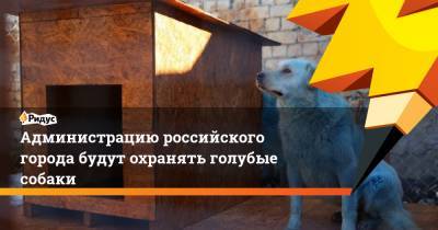 Администрацию российского города будут охранять голубые собаки