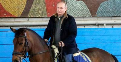 Путин вспомнил, как упал с лошади и совершил реальный кульбит