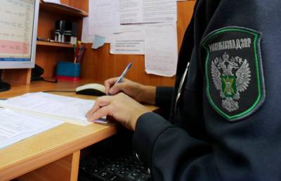 В России меняют правила работы органов госконтроля и надзора