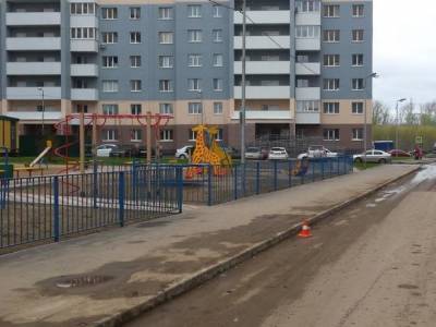 В Костроме вредная старушка мажет снаряды на детской площадке солидолом