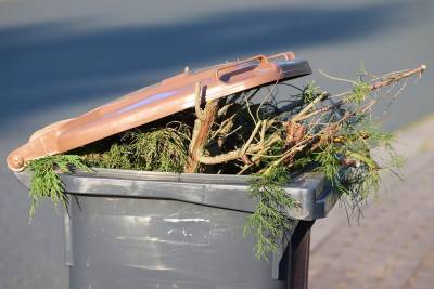 "Я не знаю, как это назвать": переполненные мусорки расстраивают липчан (видео) - lipetskmedia.ru - Липецк - Военный